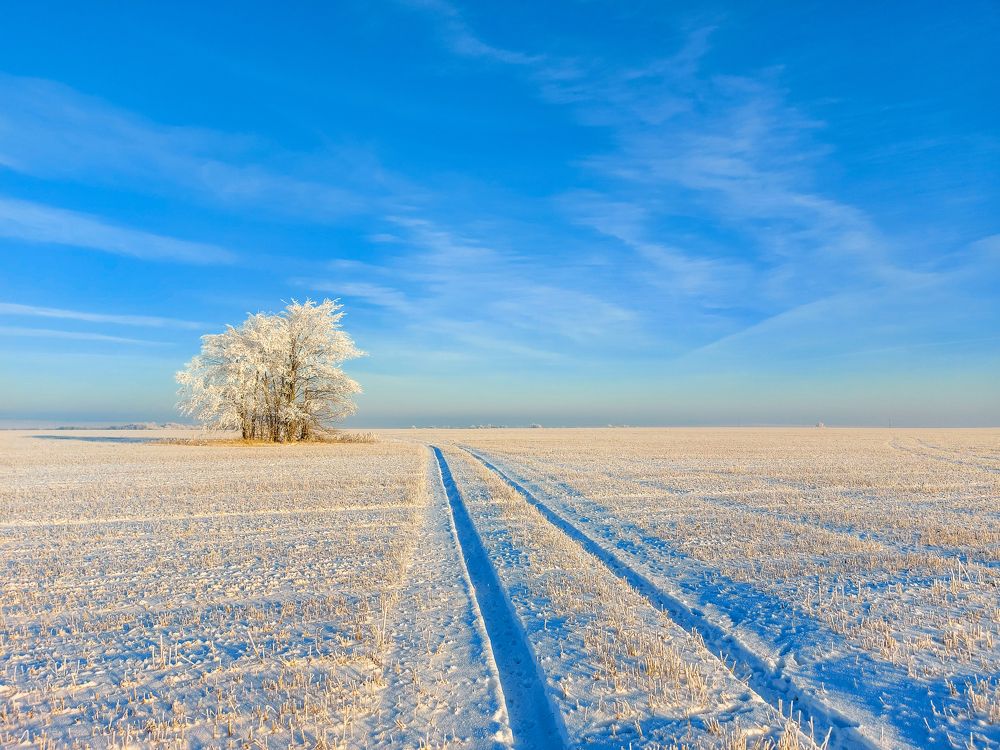 Photograph by Игорь Степанов