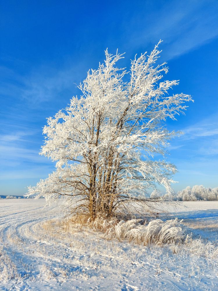 Photograph by Игорь Степанов