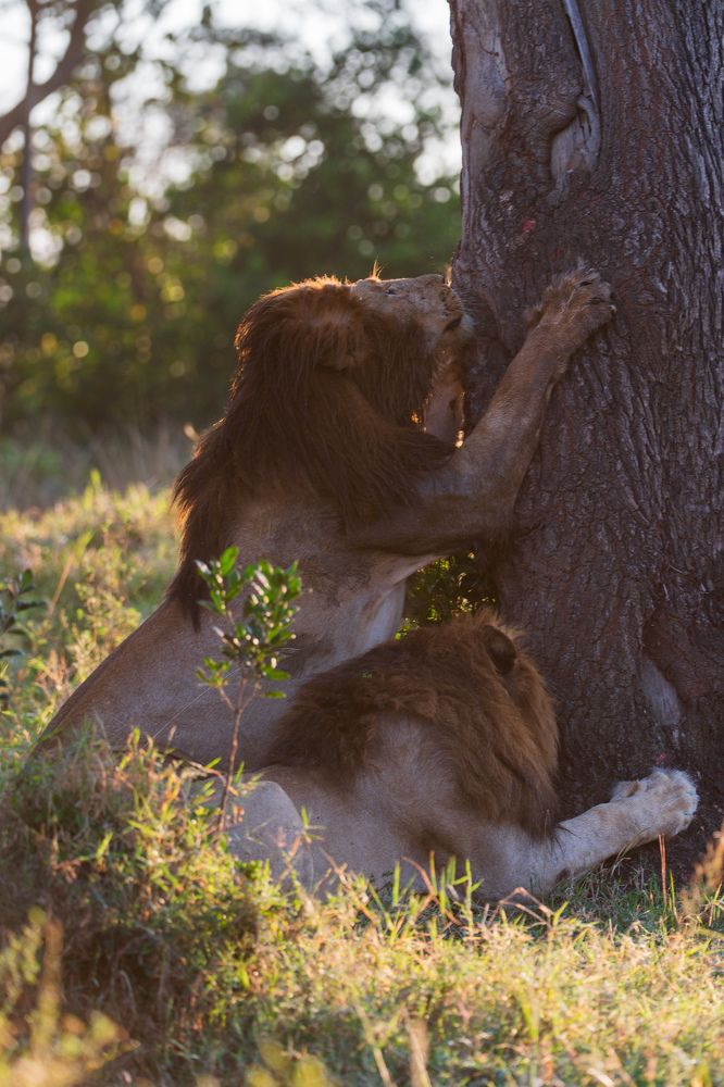 Photograph by solomon rajkumar rajasekaran
