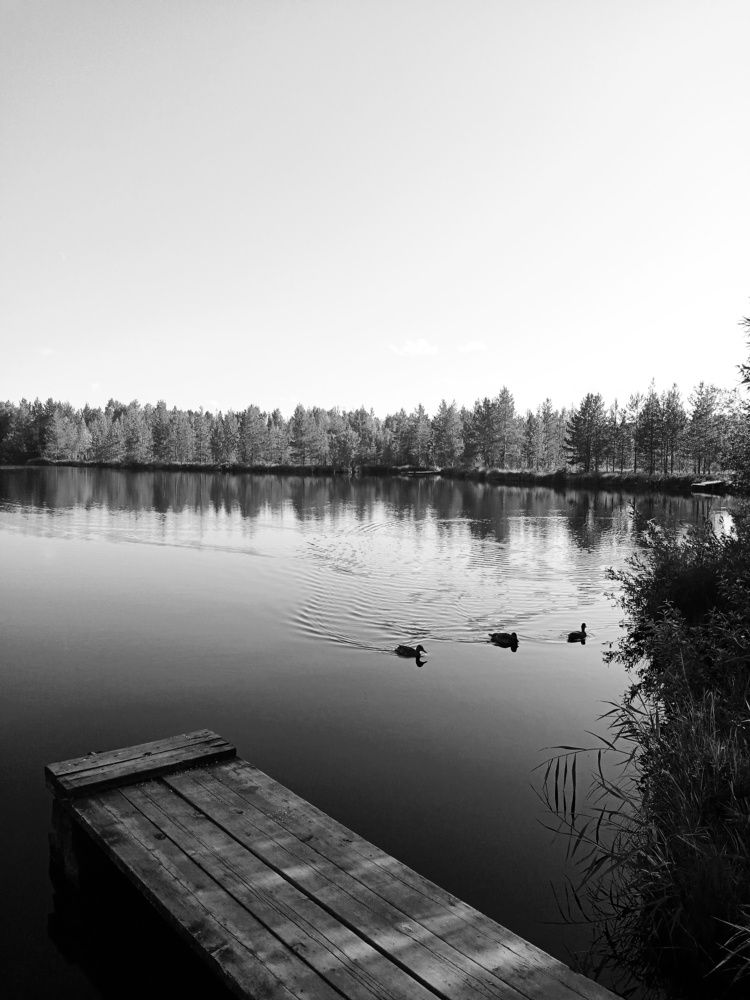 Photo #7362344