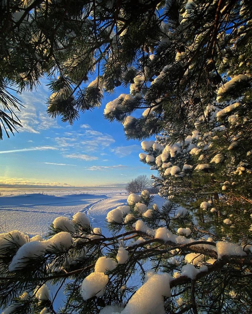 Зимнее ожерелье