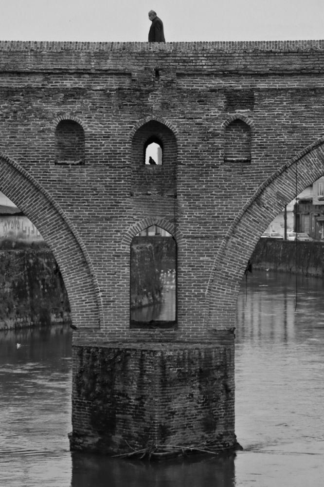 Photograph by Arsalan mohamadniya