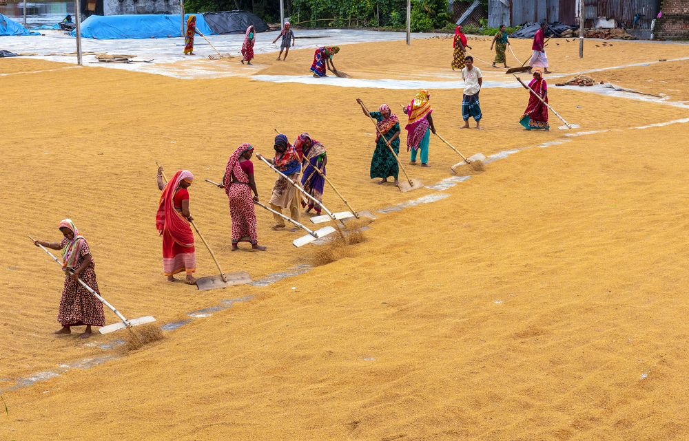 Photograph by Protap Shekhor Mohanto