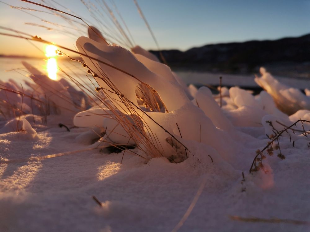 Photograph by Марина Корреа Ластра