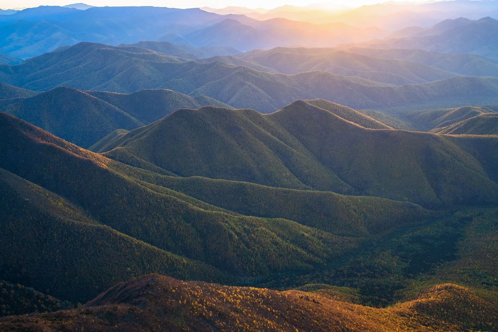 Photograph by Виталий Берков