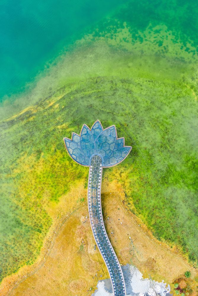 Photograph by 翔升 张