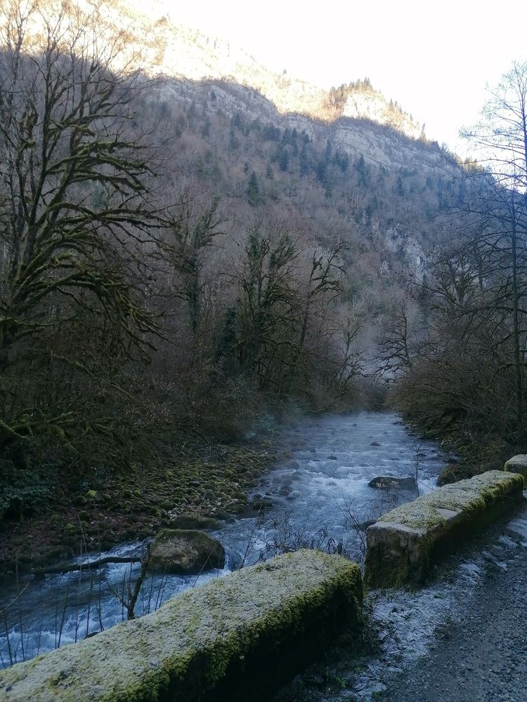 Photo #7362584