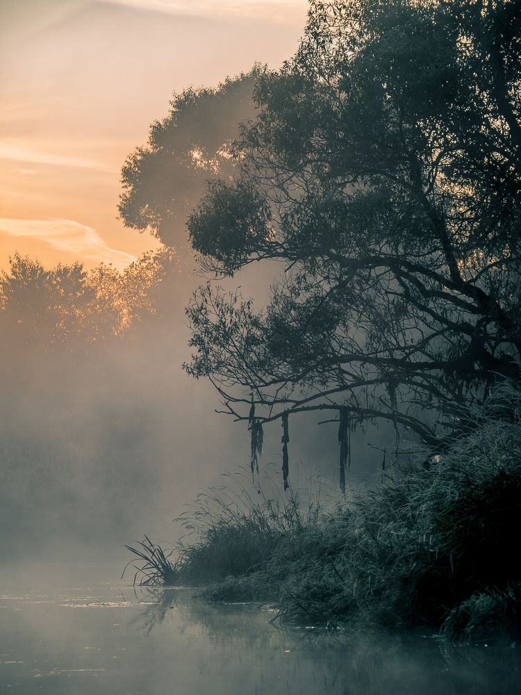 Photograph by Сергей Богданов