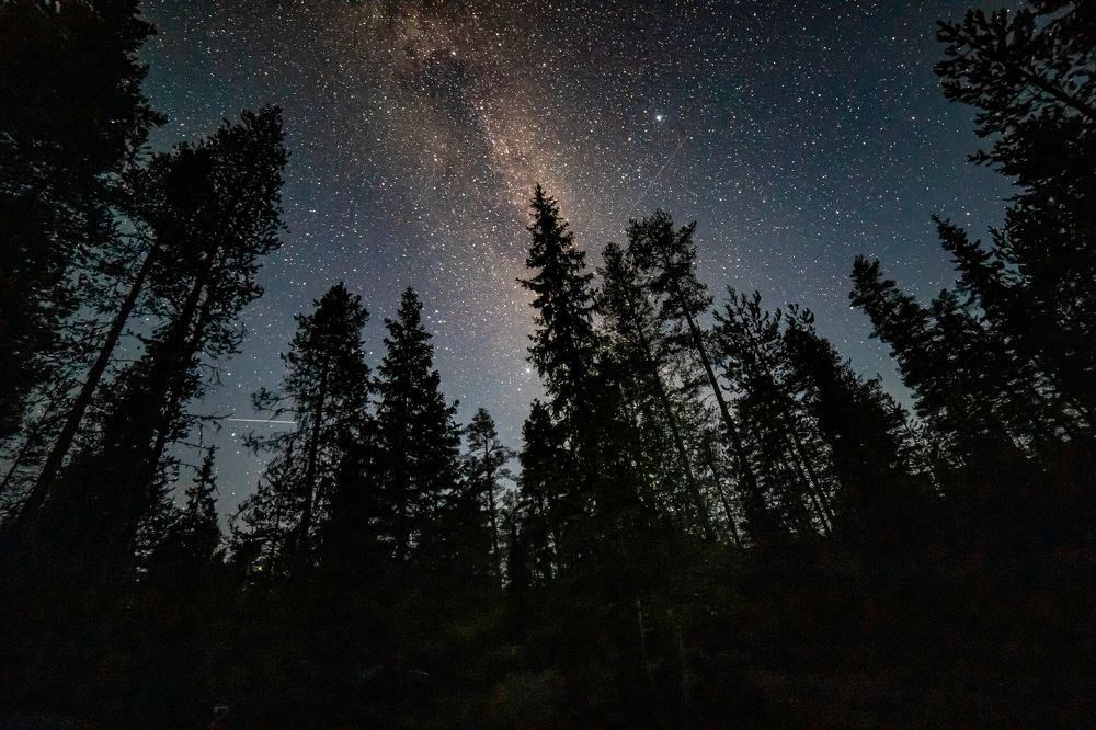 Photograph by Анна Гиндендорф