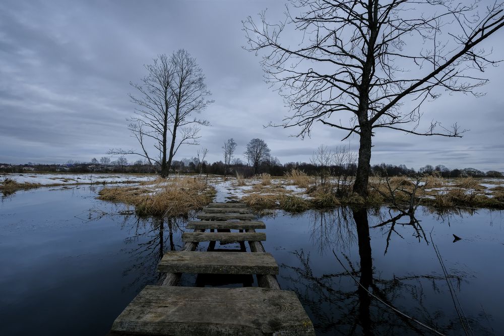 Photograph by Василий Арлашов