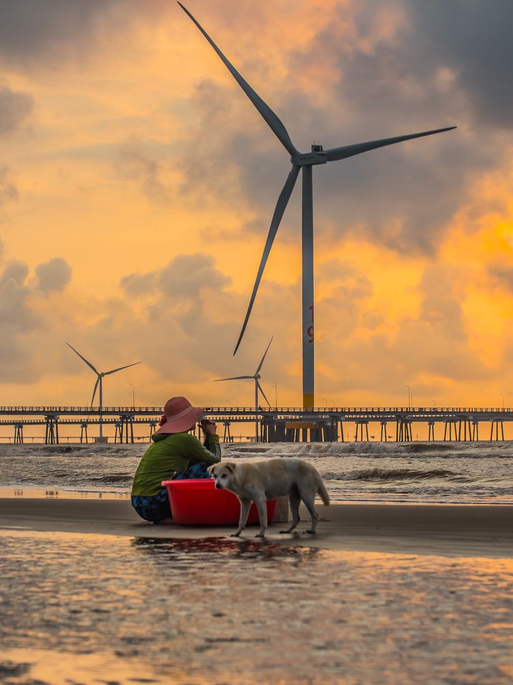 Photograph by Hưng Nguyễn Hải