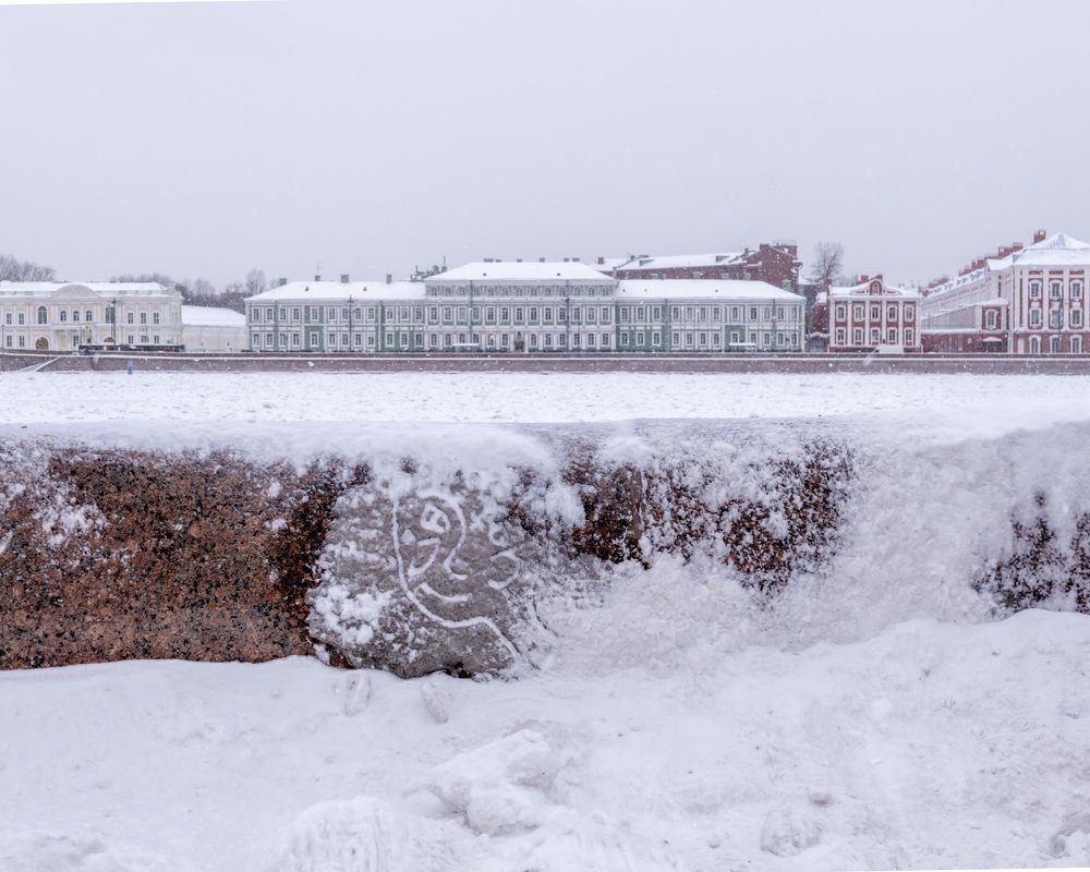 The face of winter.