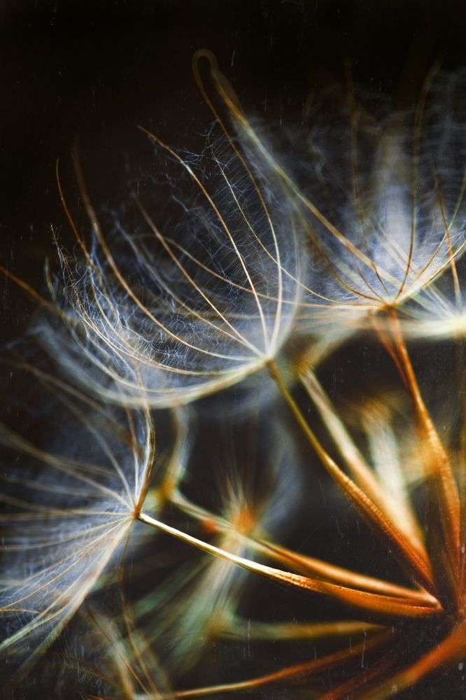 Photograph by Александр Молотков