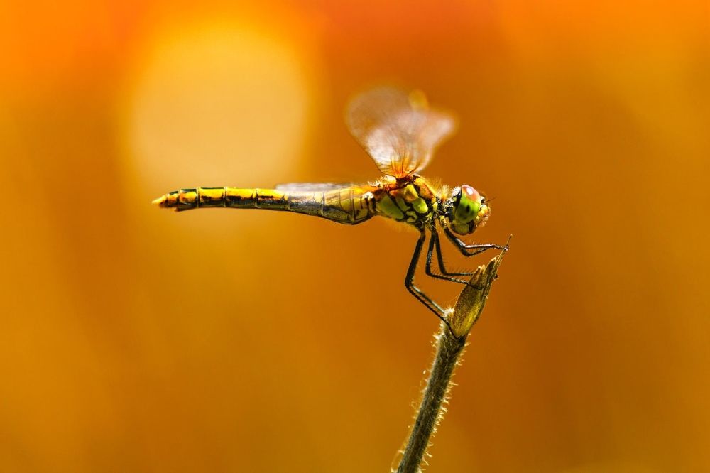 Photograph by Александр Молотков