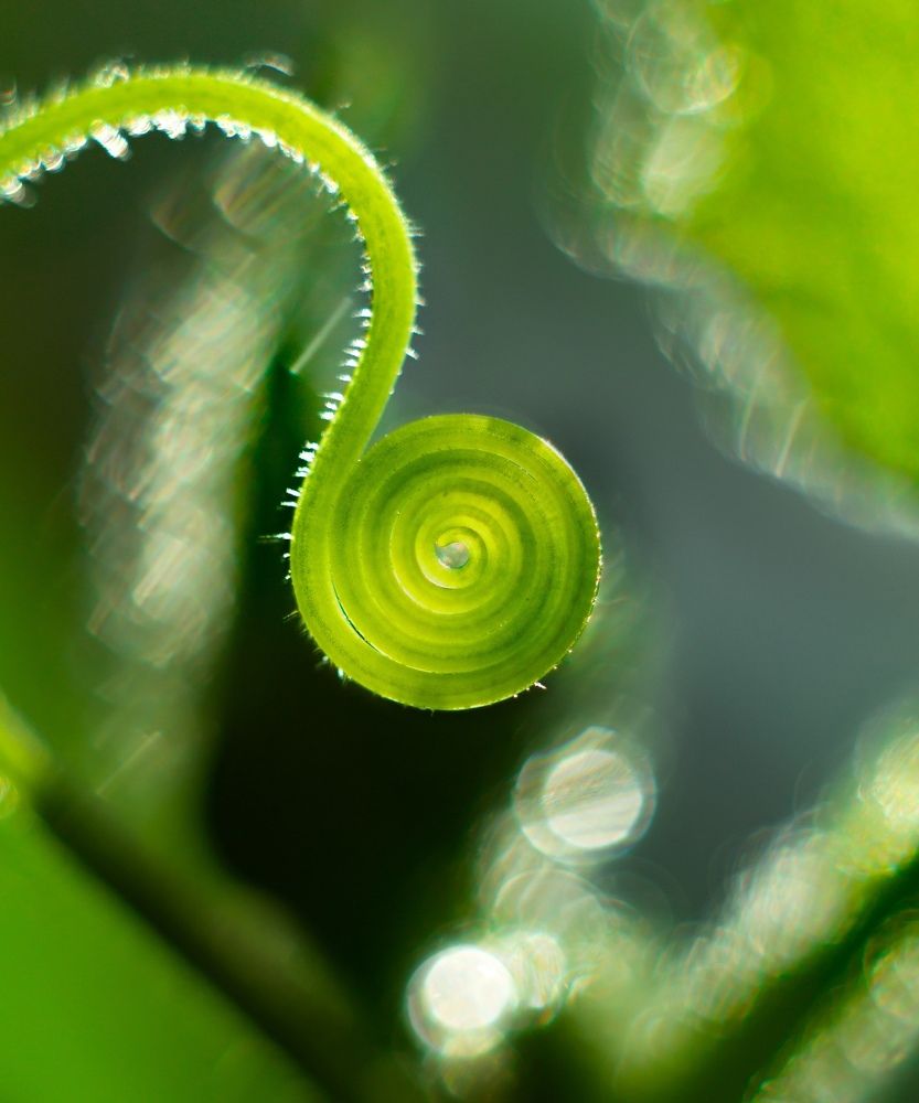 Photograph by Александр Молотков