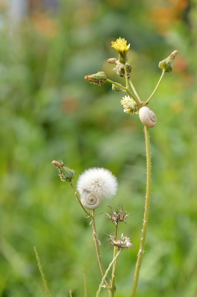 Photograph by Дарья Беляк
