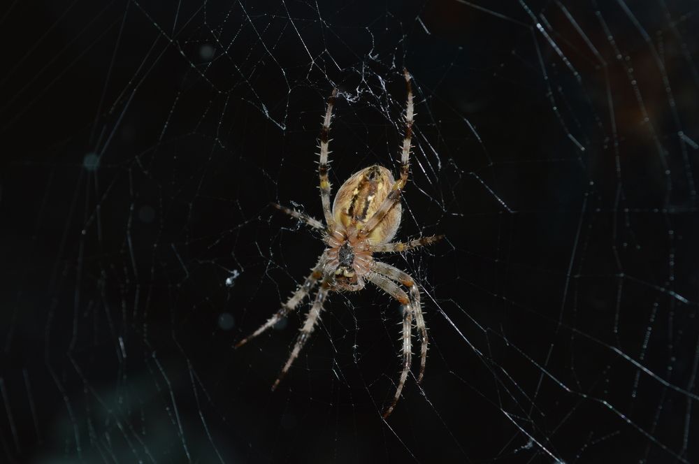 Photograph by Дарья Беляк