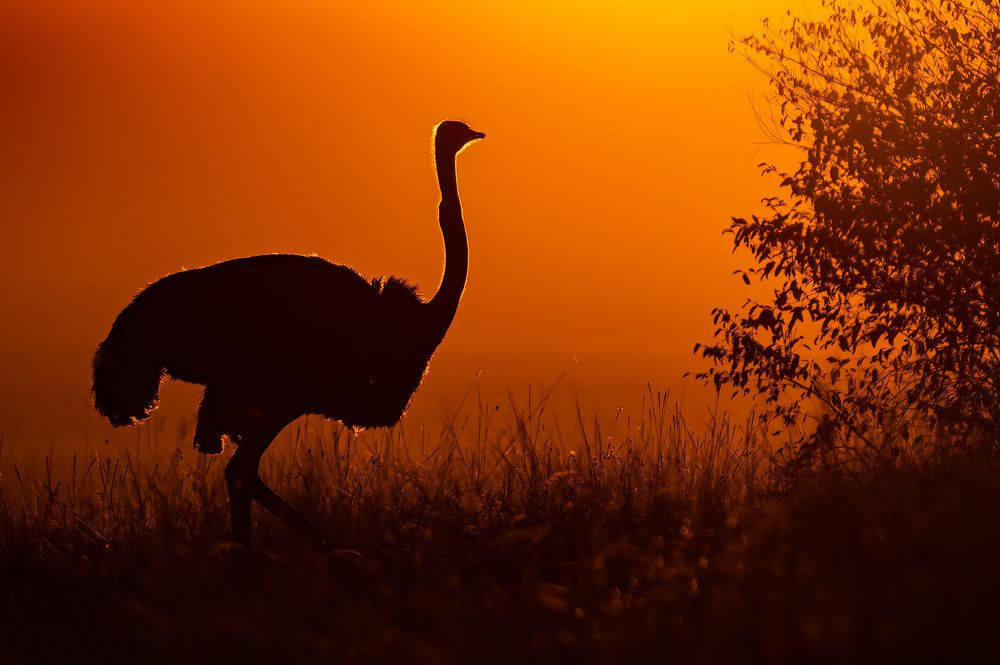 Photograph by DEEPA GIRISH