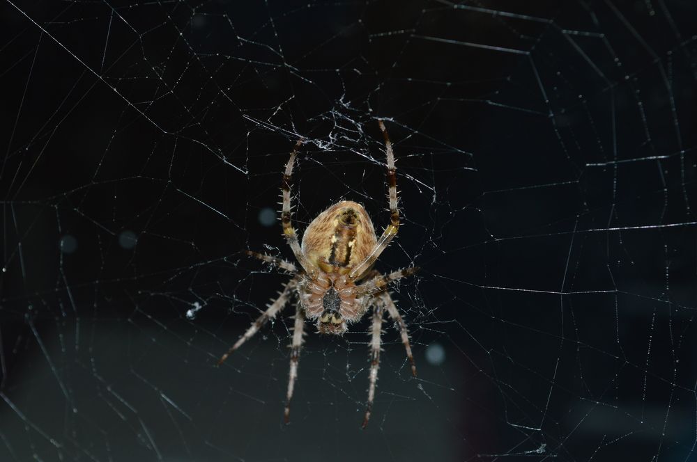 Photograph by Дарья Беляк