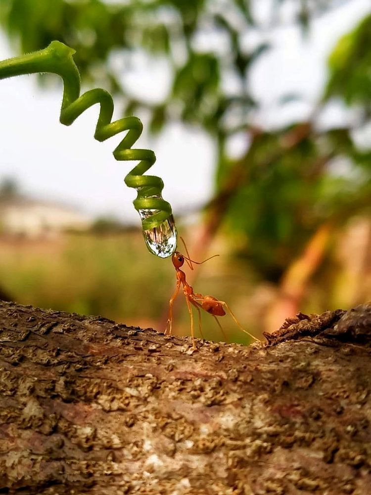 Photograph by Utkarsh Sinha