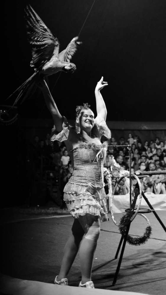 Photograph by Михаил Нестеренко