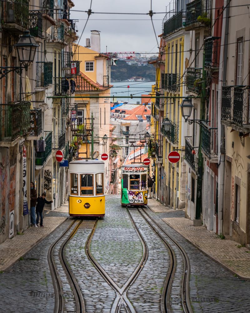 Photograph by Ana Grozea