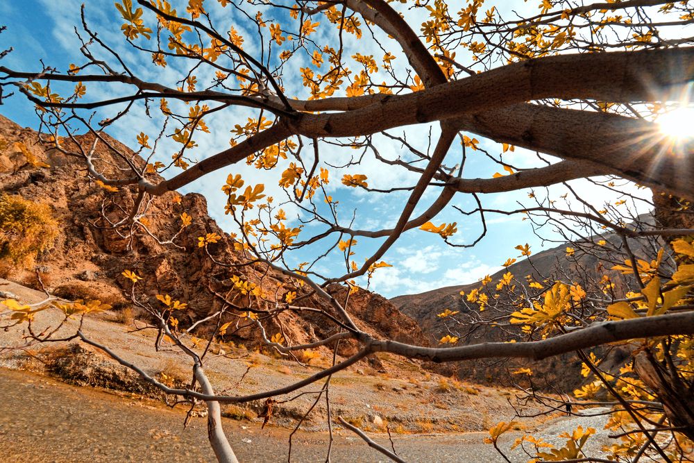 Фотография автора Игорь Ломов