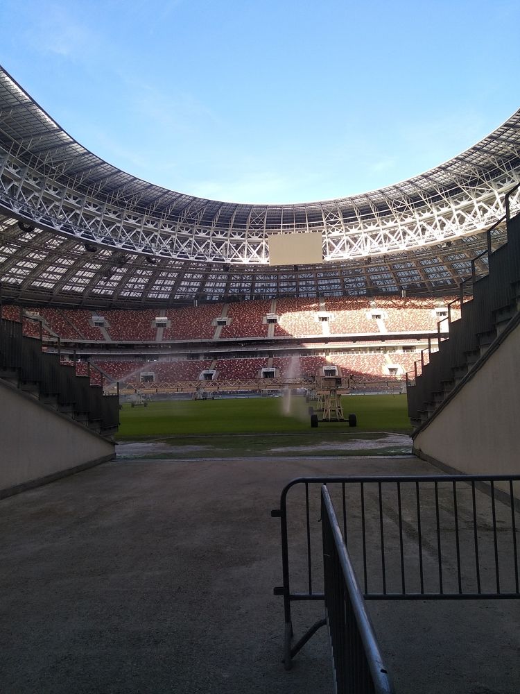 Photo #7362935
