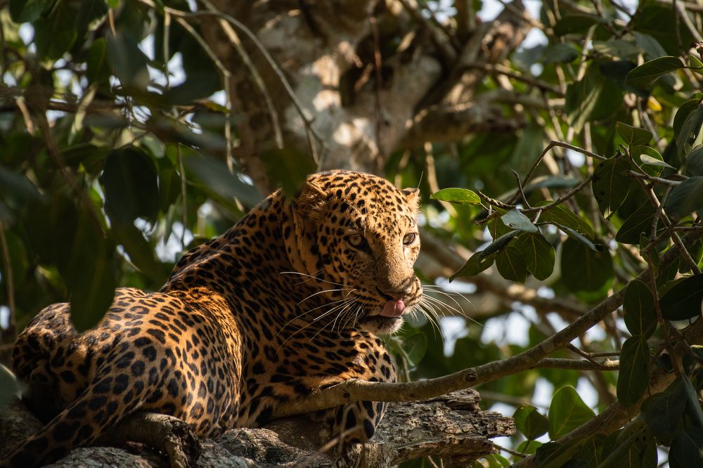 Photograph by Prince Pravin