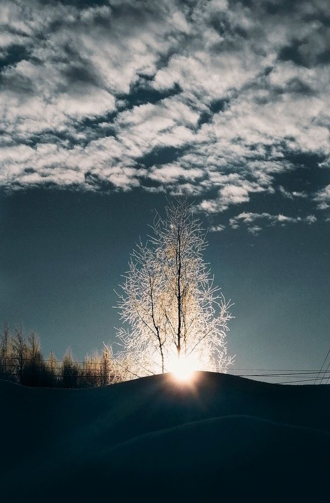 Photograph by Сергей Островский