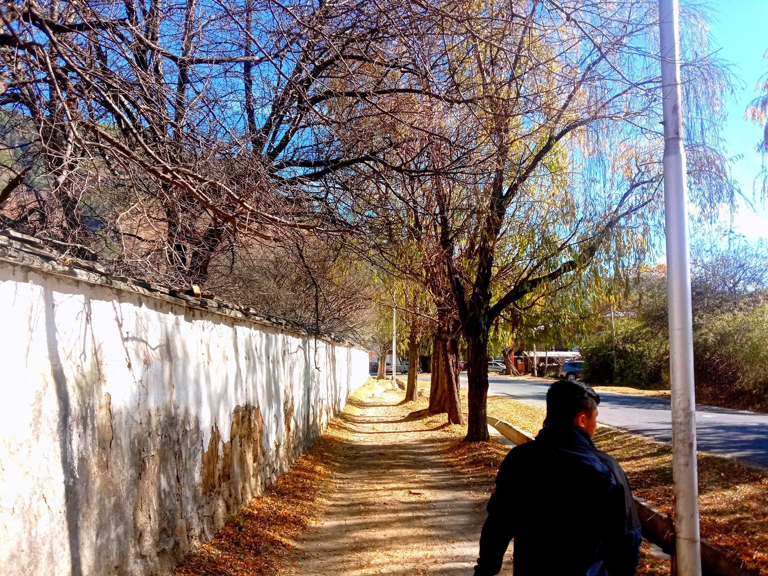 Photo #7363076