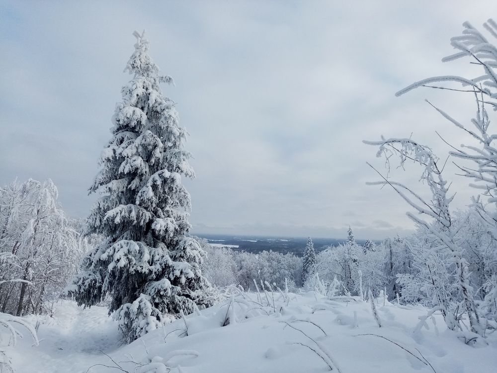 Photograph by Наталья Терентьева