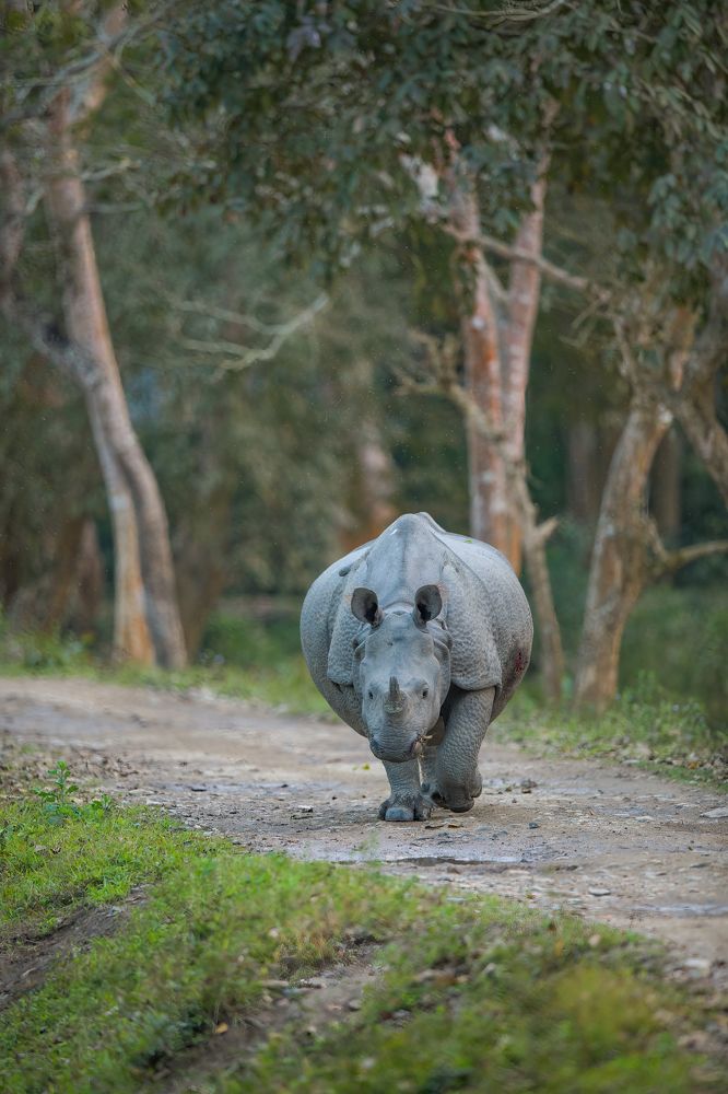 My way across the highway