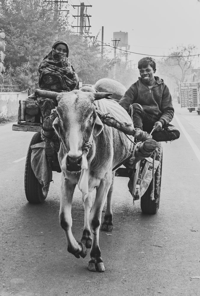 Happiness is a choice