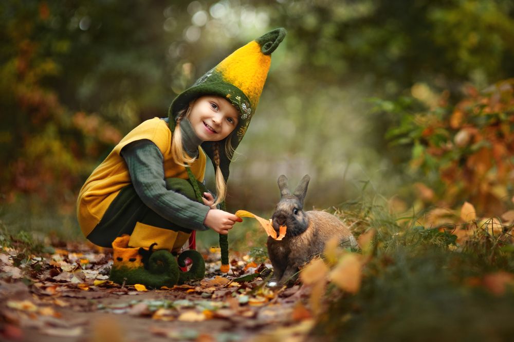 В стране маленьких гномов
