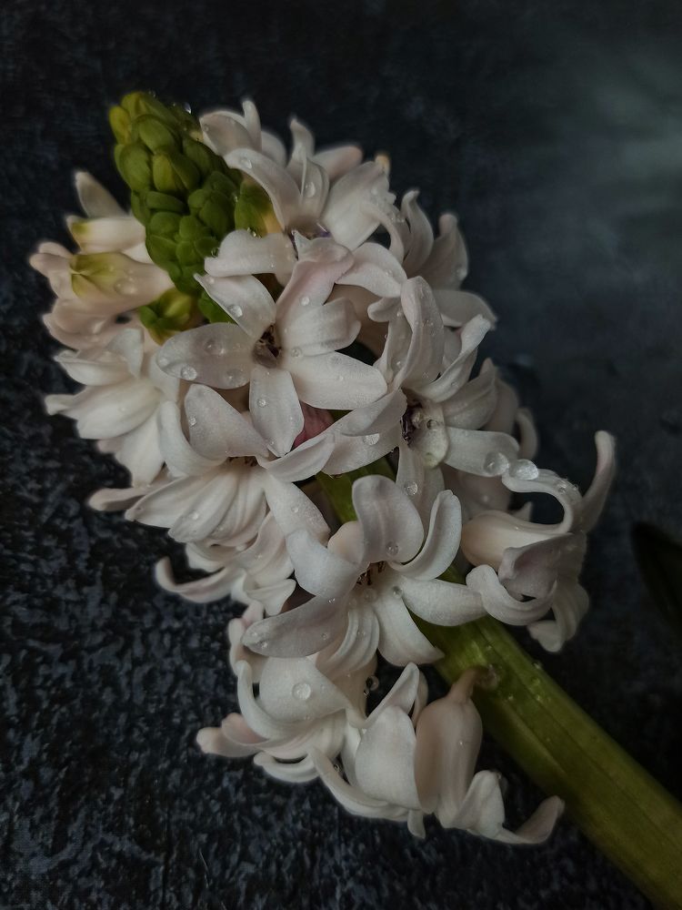 Photograph by Ирина Дегтярева