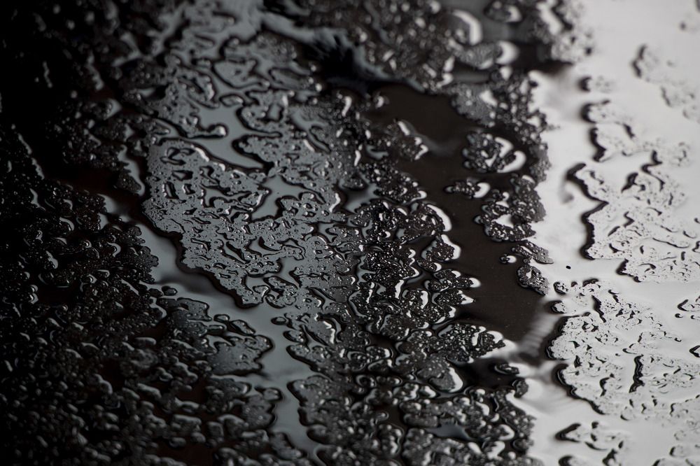 Photograph by Elena Kostochkina