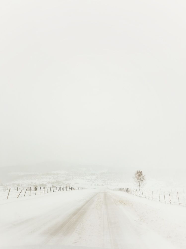 Photograph by Neda Petrovic