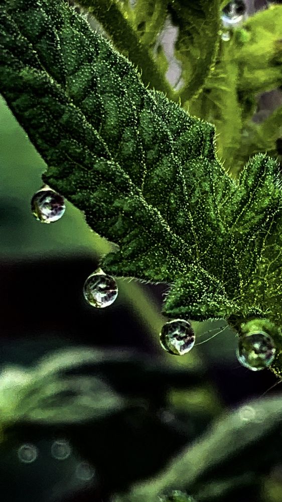 Photograph by Anastasia Malysh