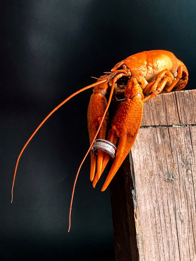 Photograph by Anastasia Malysh