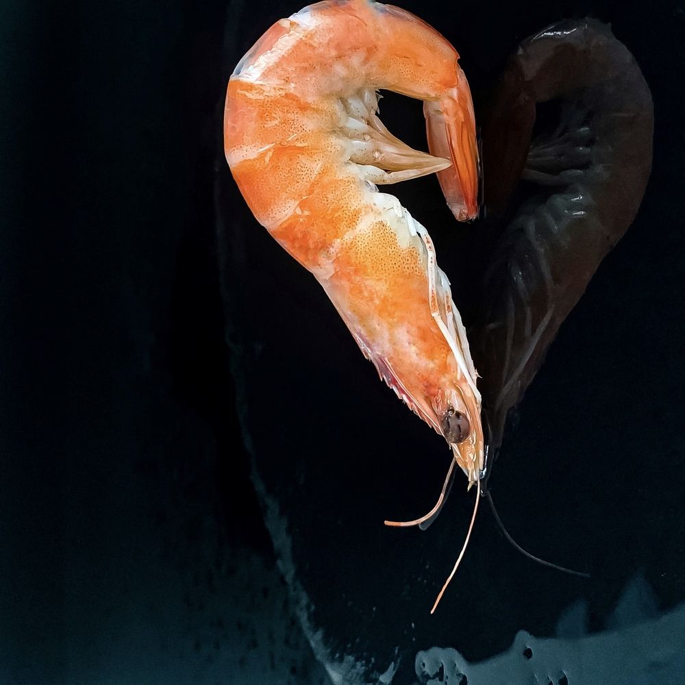 Photograph by Anastasia Malysh