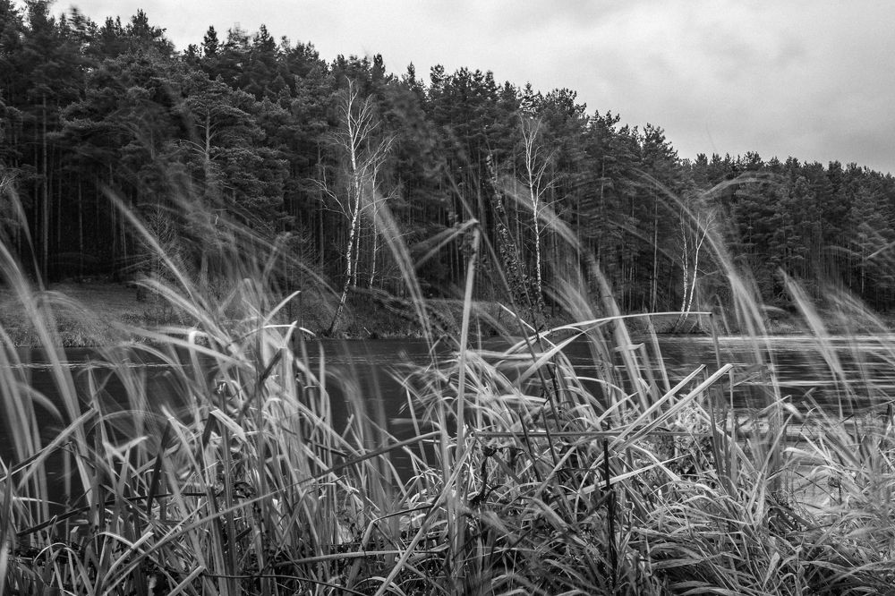 Photograph by Денис Романов