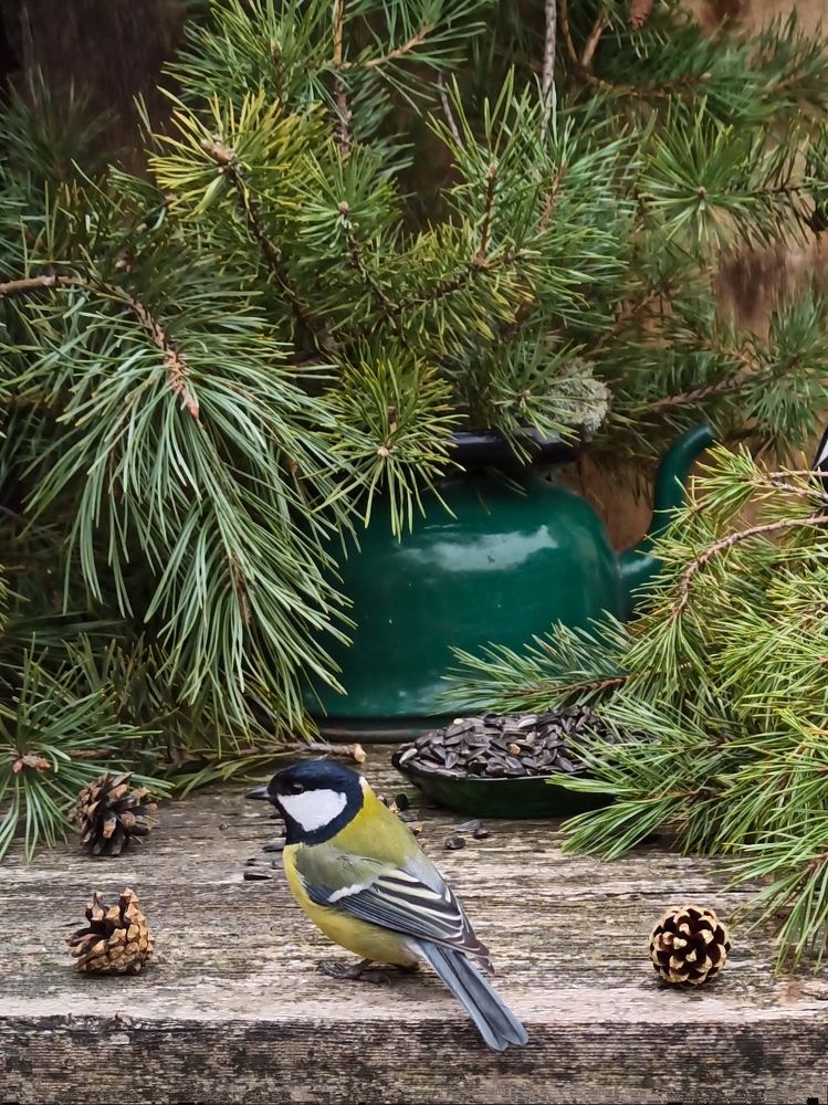 Photograph by Ирина Дегтярева