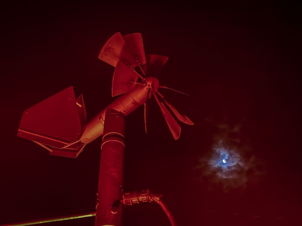 Фотография автора Александр Новоселов