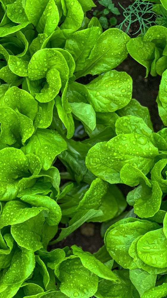 Photograph by Anastasia Malysh