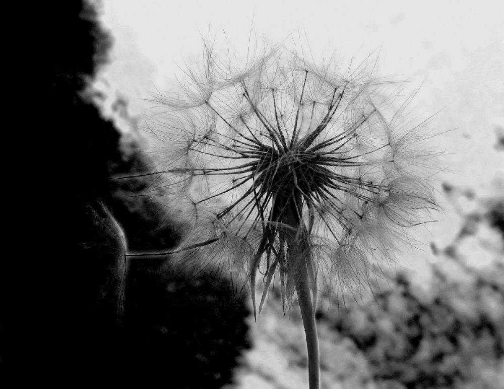 Photograph by Iveta Mihailova Marinova