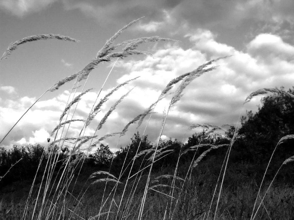 Photograph by Iveta Mihailova Marinova