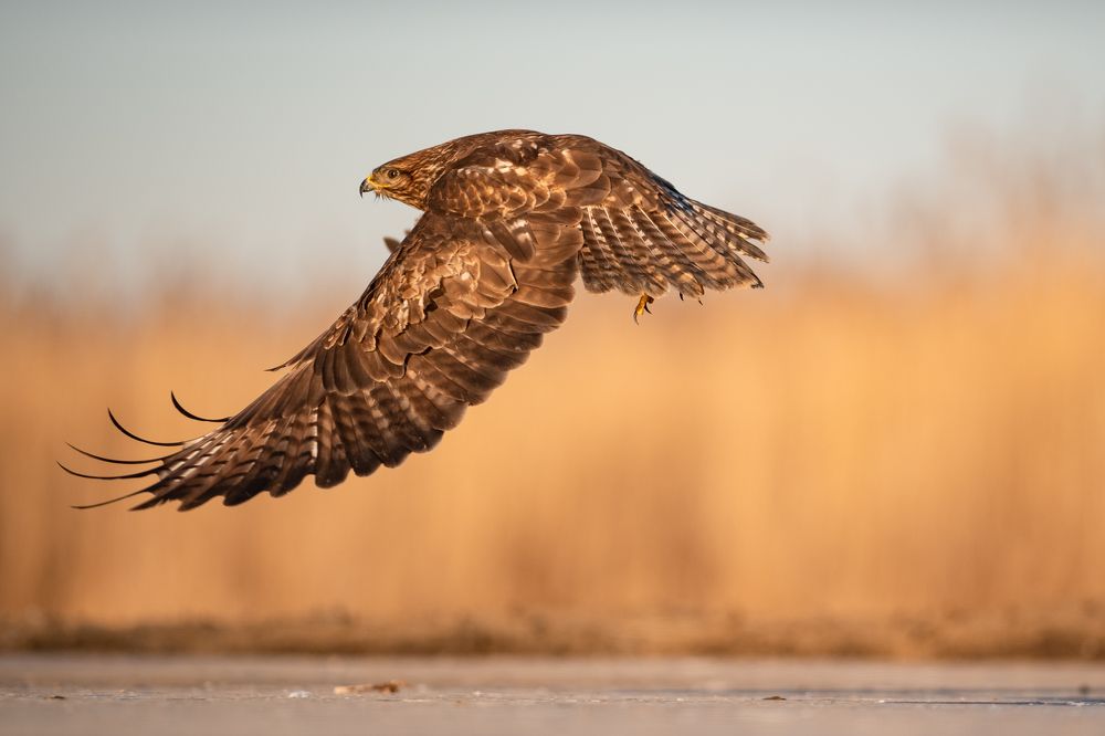 Photograph by Alena Bednarova