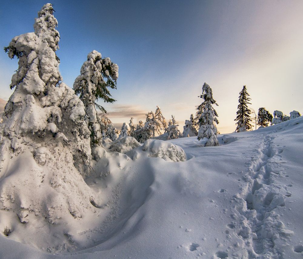 Photograph by Андрей Козлов