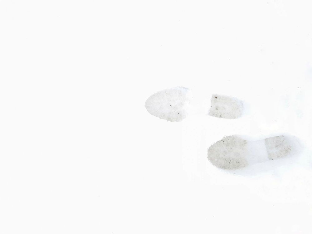 След на снегу